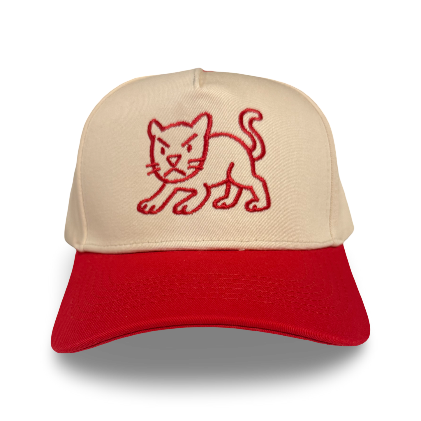 The Doodle Big Cat
