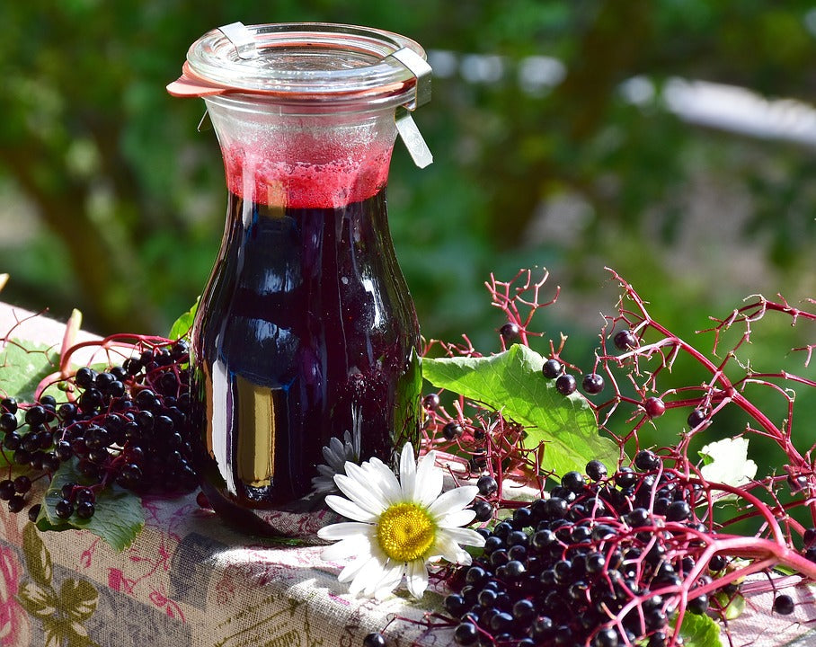The Amazing Elderberry!