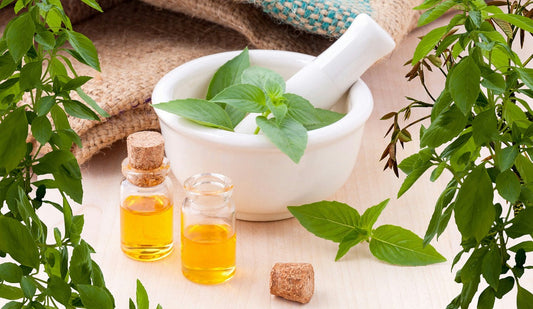 Essential Oils & You