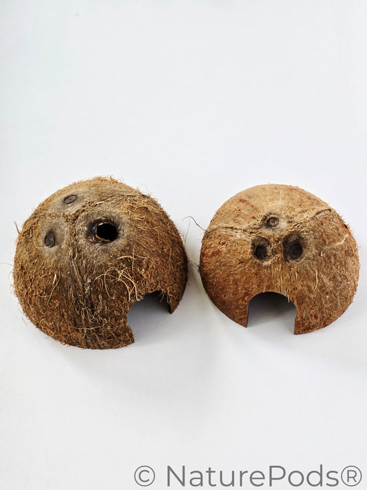 Coconut Caves