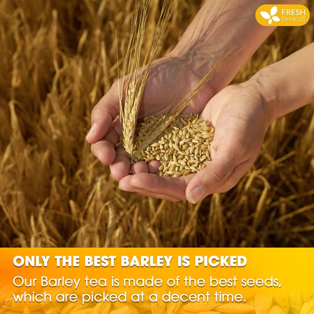 Premium Barley Tea Bags, 100% Natural & Pure from Barley. Loose Barey Herbal Tea. No Sugar, No Caffeine, No Gluten, Vegan.