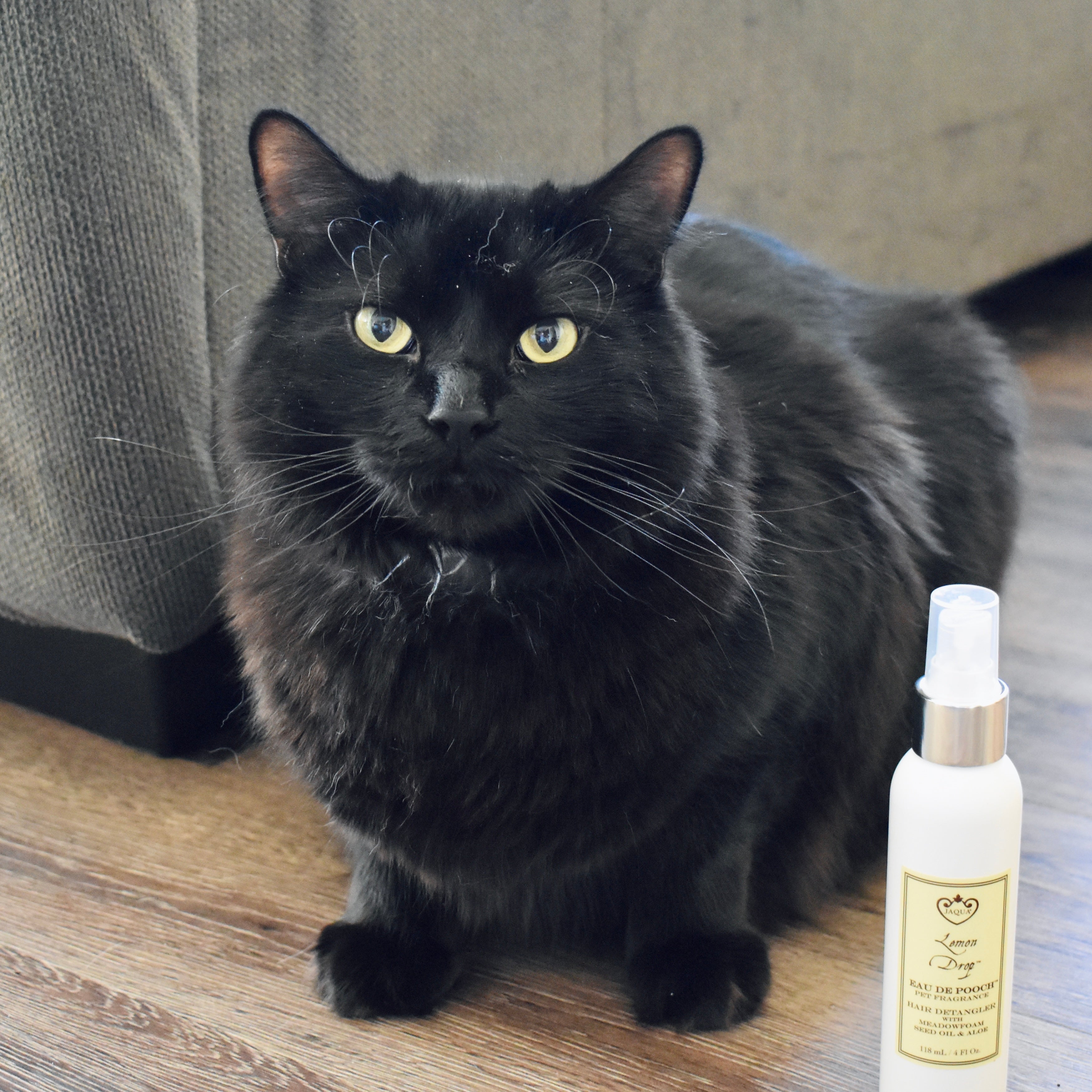 Lemon Drop Eau de Pooch Pet Fragrance and Hair Detangler Spray